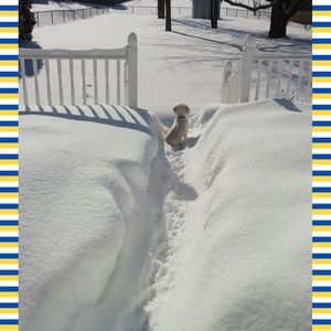 Meet your Posher, John